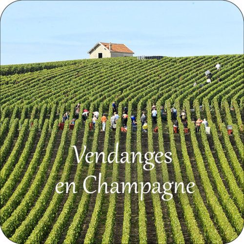 Magnet Vendanges en Champagne